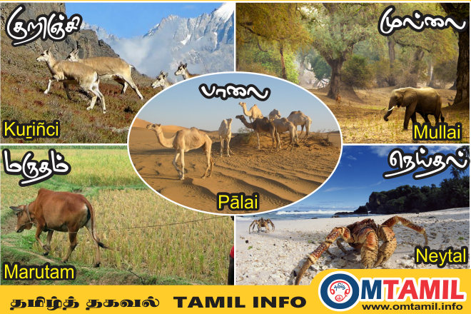 5 Types of Land in Ancient Tamil Literature