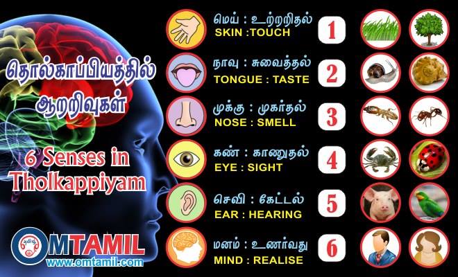 6 Senses in Tolkappiyam