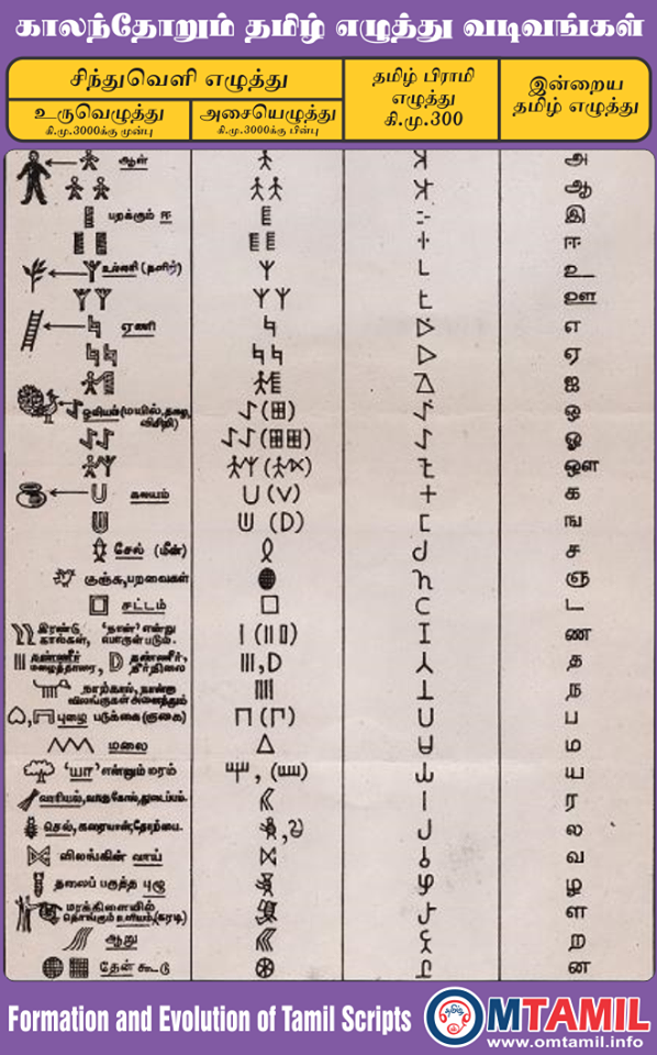 Formation and Evolution of Tamil Scripts