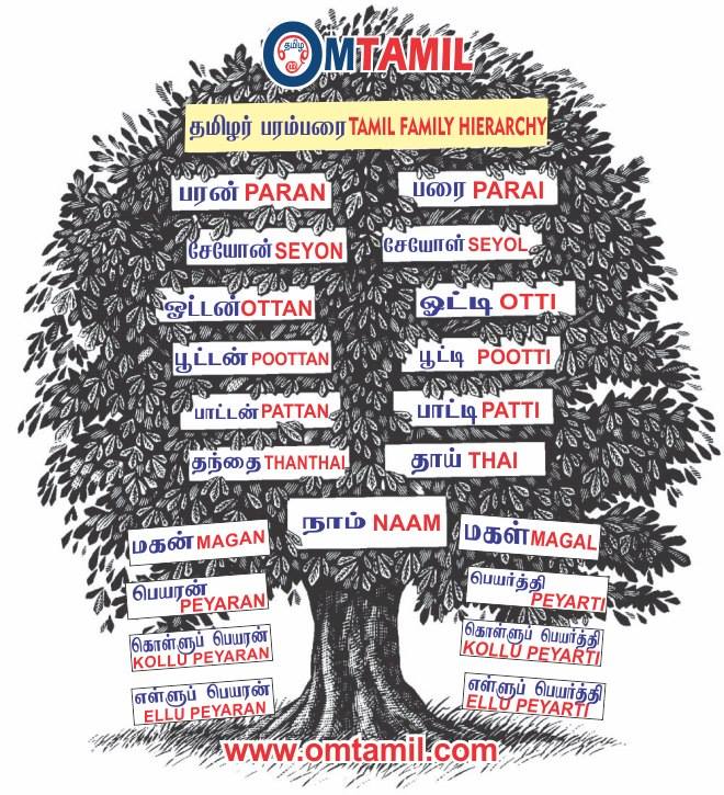 Tamil Family Hierarchy