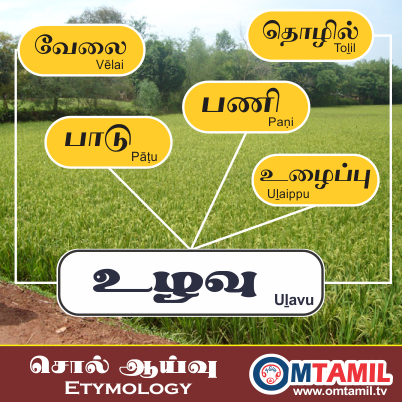 Root Words for Work in Tamil